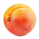 APRICOT