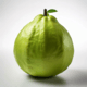GUAVA