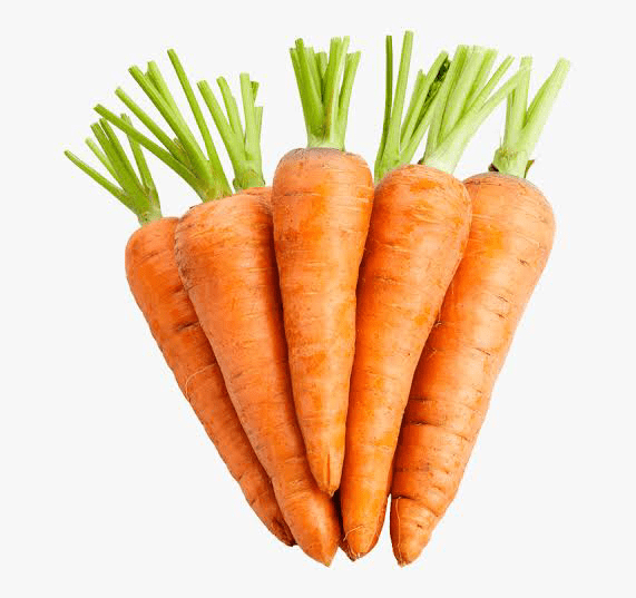 CARROT